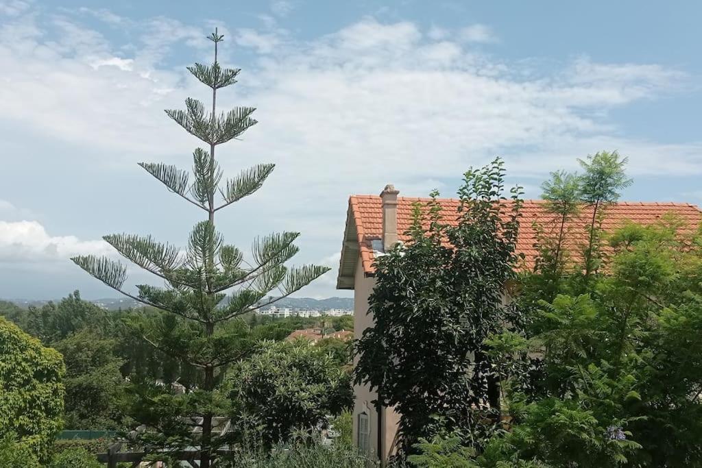 Claelle Appartment - 200M Beach Mandelieu La Napoule Luaran gambar